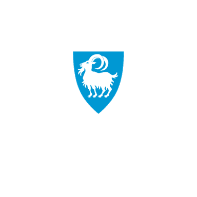 Vinje kommune